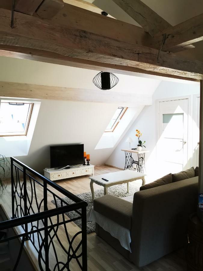 Kuninga 24 Apartment 派尔努 外观 照片
