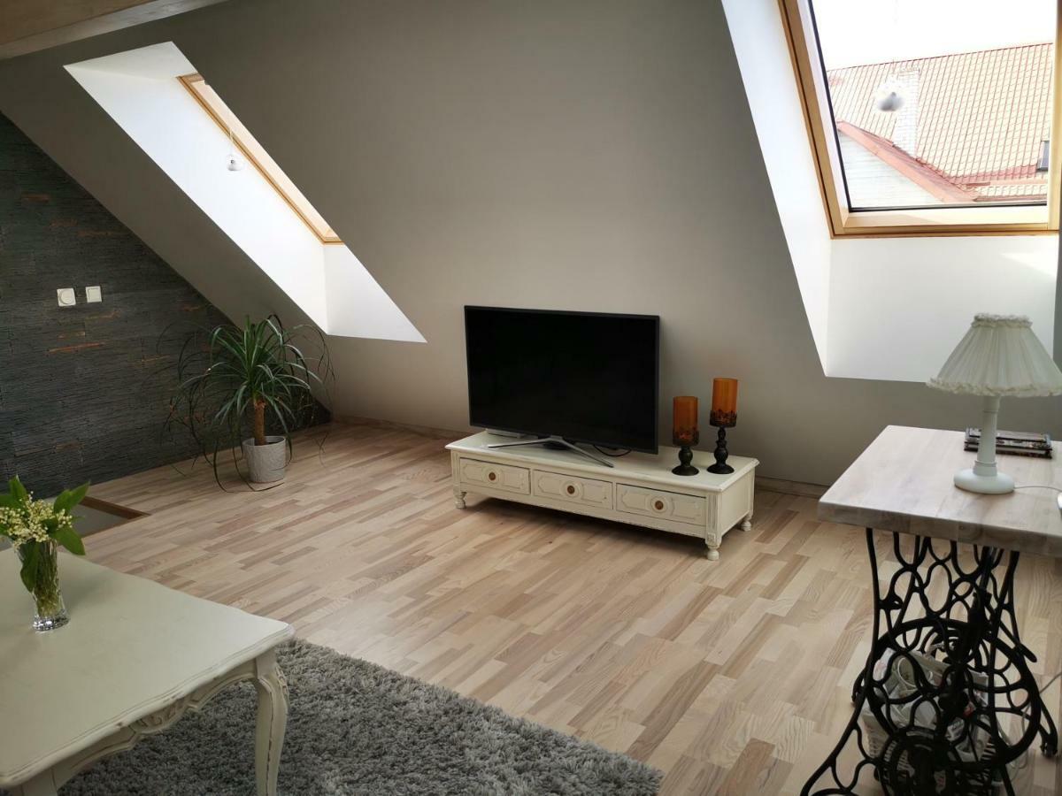 Kuninga 24 Apartment 派尔努 外观 照片